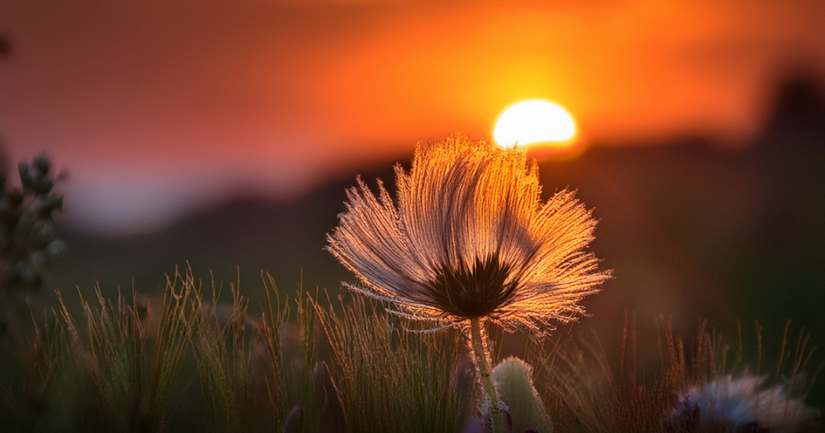 Frissonner... de plaisir !