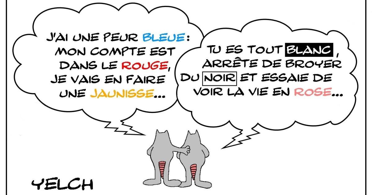 les couleurs de la vie