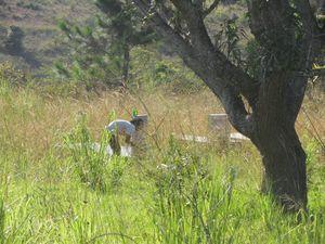 La Terre des Ancêtres
