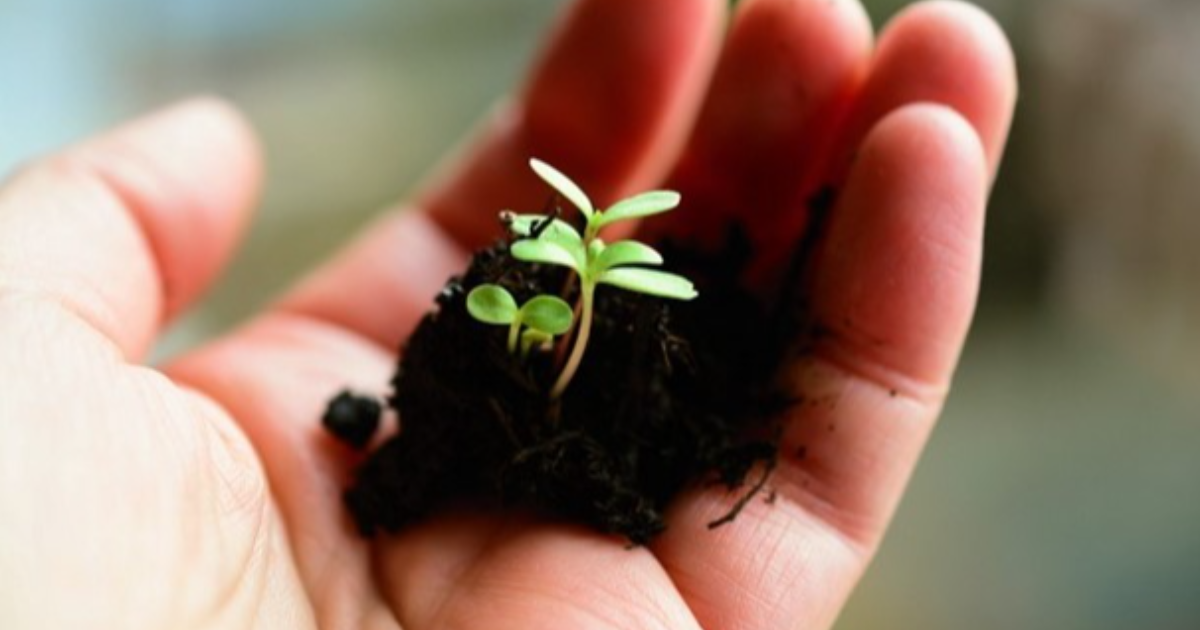 Are You Fortunate to Have A Green Thumb?