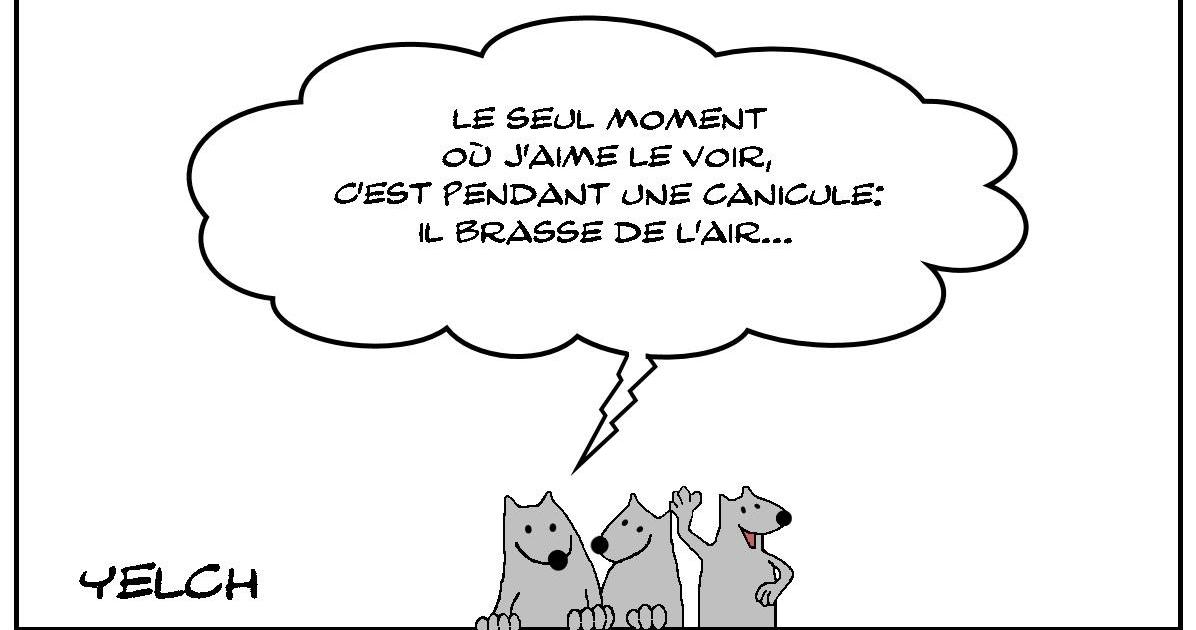 Le rat ventilateur