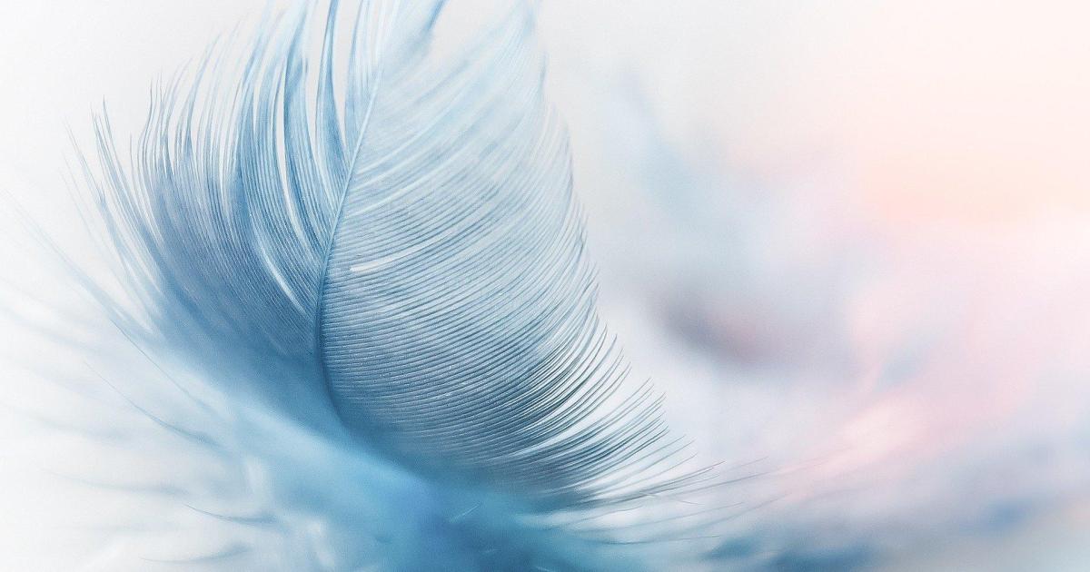 Un dernier au revoir