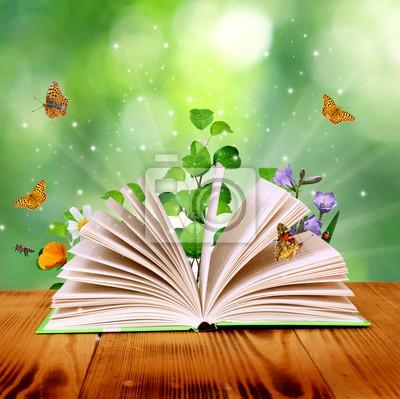 #67 La cité d'émeraude: Tome 1 L'Institut by Sabine Loppe