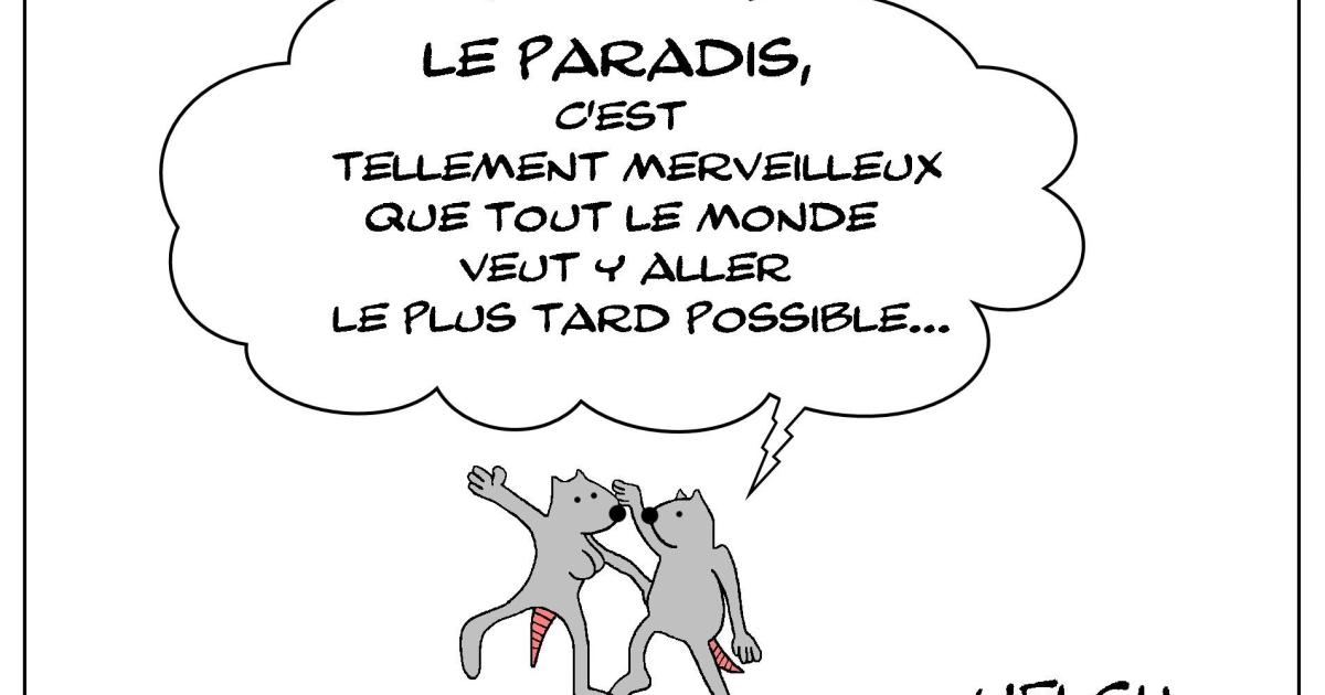 Paradis mais pas tout de suite