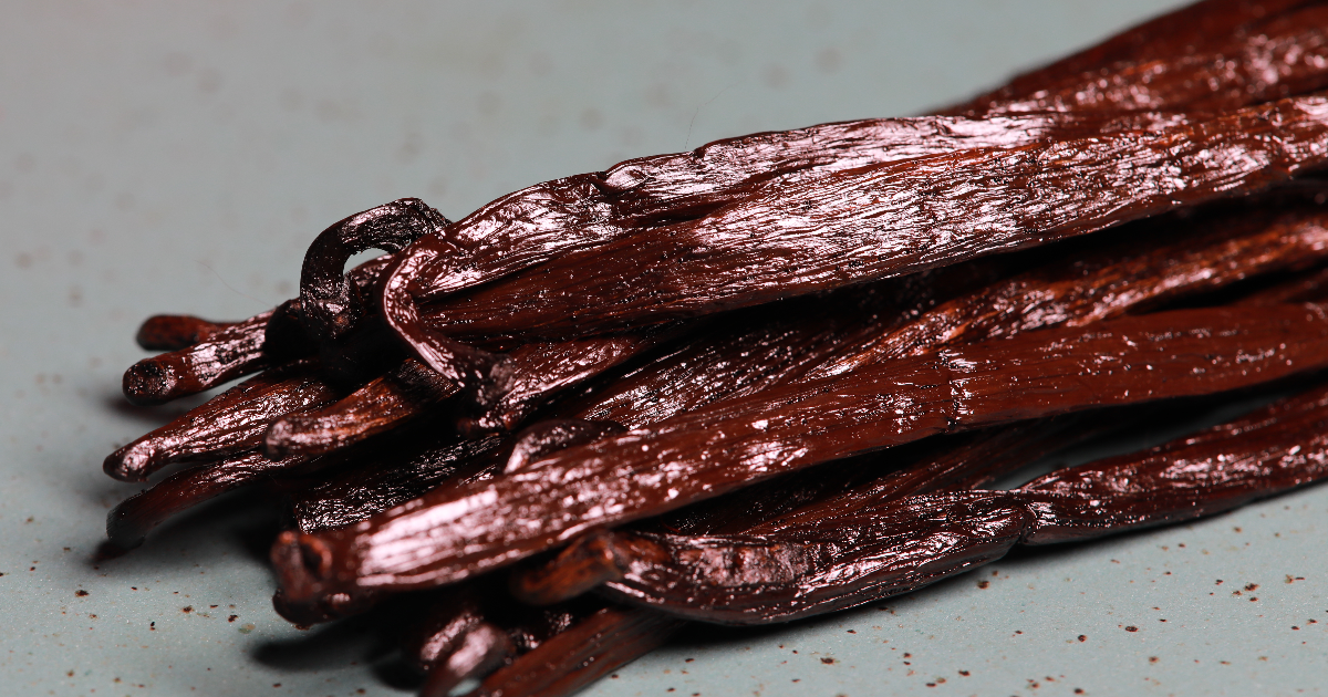 Le Vanillier : Une Exploration Scientifique et Technique de Vanilla planifolia