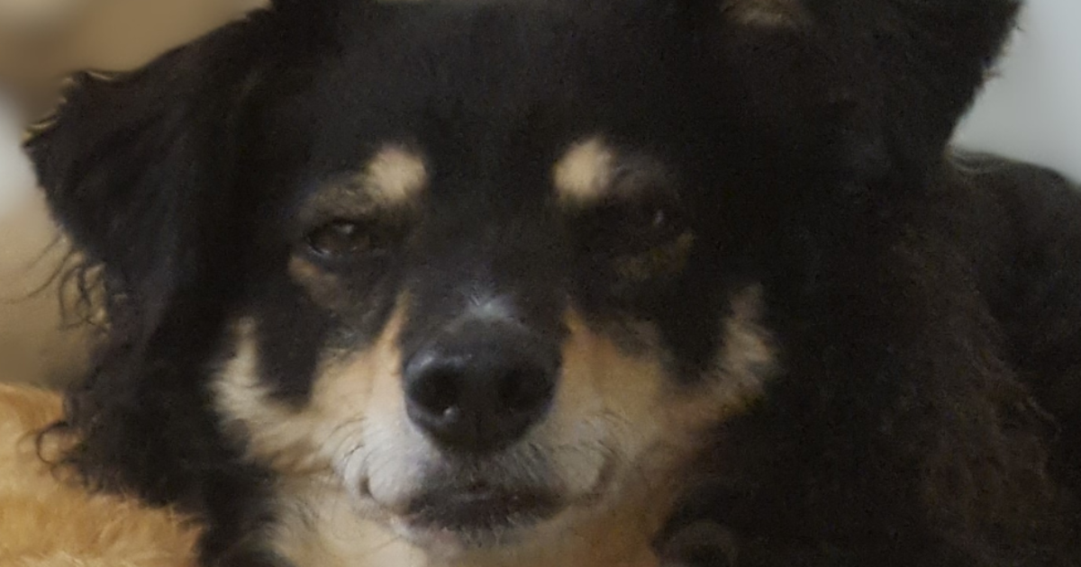 Message de Mini : Amour et vulnérabilité