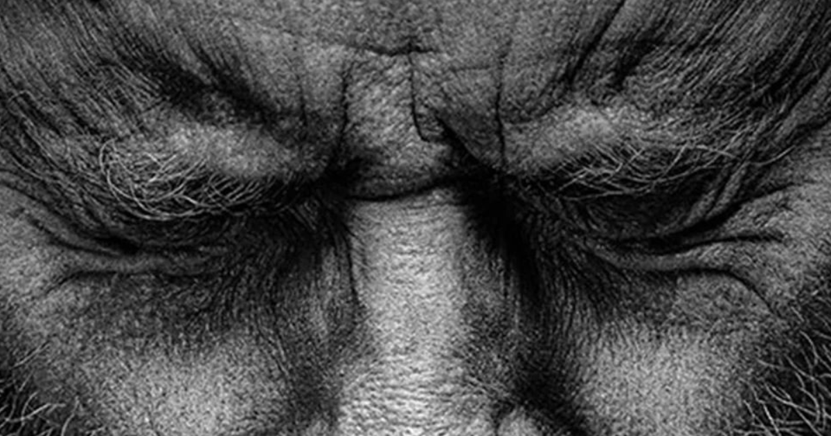 Your Honor - Saison 2