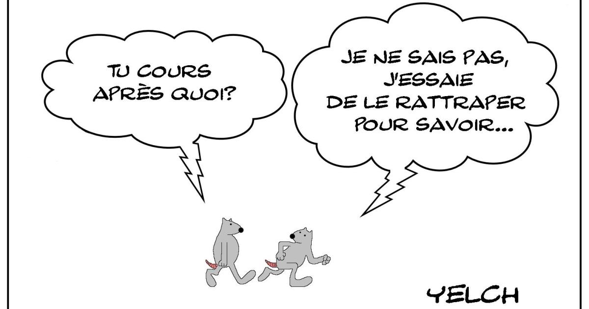 Le rat qui courait après quelque chose...