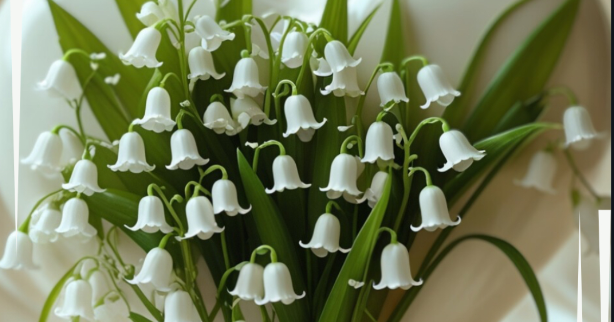 Cœur de muguet