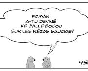Le rat ki allè bocou sur les rézos saucios
