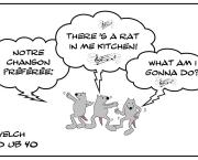 La chanson préférée des rats