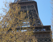 L'ARMURE RÉVÉLÉE ET LE SERMENT TRANSMUTÉ