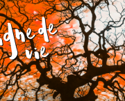 Ligne de vie