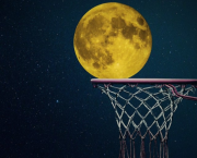 Le basket, un sport de dupes ?