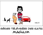 les séries télévisées des rats : Magnum et Higgings et Zeus et Apollon