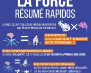 La force : résumé rapidos