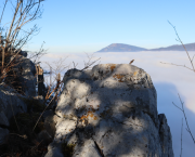 Après 59 ans ! Décodage tardif du mode de survie maternelAfter 59 Years! Late Decoding of the Maternal Survival Mode