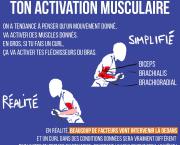 Les facteurs qui influencent ton activation musculaire
