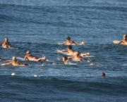 LE SURF FEMININ : UN SUJET HOULEUX