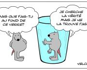 La vérité du verre