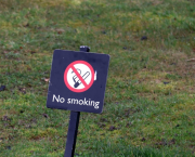 10 juillet - No smoking