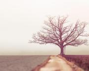 Que penser de l'honneur ?