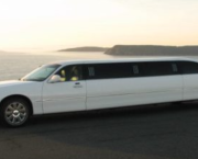 Limousine