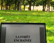 Bienvenue dans la Forêt enchantée (théâtre)