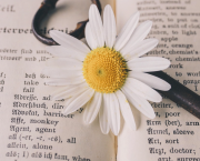 Février: Hippocalliphène