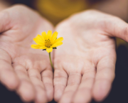 Dans les yeux de Papi