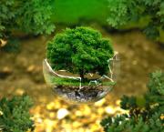 Peut-on encore parler de transition écologique ?