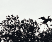 « Ici, le vent je suis. »