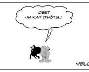 Rat d'hôtel