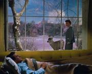 Tout ce que le ciel permet (All That Heaven Allows, Douglas Sirk, 1955)