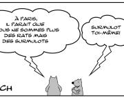 Surmulot toi-même