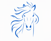 Bienvenue dans mon univers