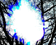 Le journal intime d'Électra (un chapitre avec plusieurs récits)