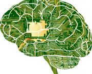 Le cerveau quantique