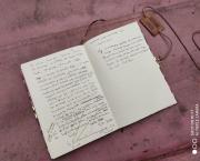 Delphine (Itteville)