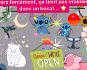 « La tombée de la nuit ne fait pas de cadeaux aux Stitch » 