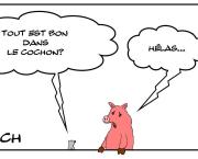 Tout est bon dans le cochon