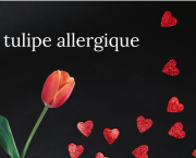 Challenge - La tulipe allergique