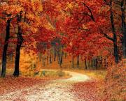 La disparition mystérieuse