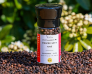 Biochimie et Terroirs du Poivre : De la Dynamique Moléculaire à la Précision Culinaire