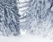 Traverser l’hiver …