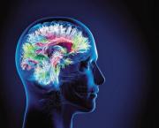 Savoir écouter, c'est posséder outre le sien, le cerveau des autres !