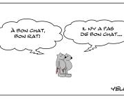Le bon rat mais pas le bon chat...