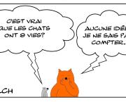 les 9 vies du chat?