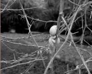 Valentin ? Qu'est-ce qu'il fait, qu'est-ce qu'il a, qui c'est celui-là? Complètement toqué, ce mec-là, complètement gaga...