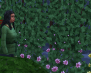 Hasard de Voyage, Chapitre 3 : La déduction